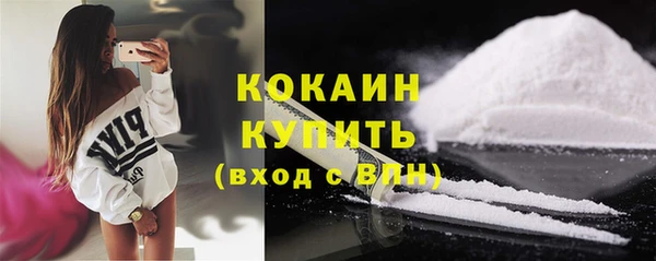 круглые Гусев