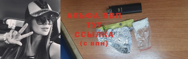 круглые Гусев