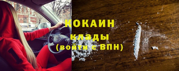 круглые Гусев