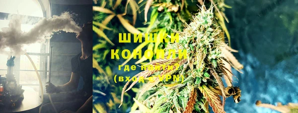 круглые Гусев
