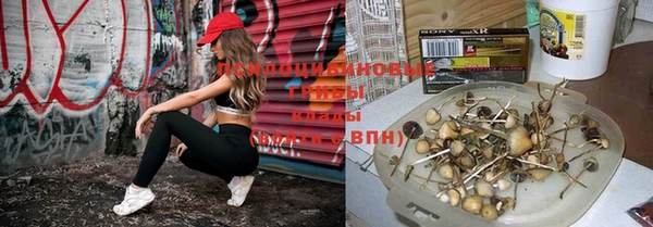 mix Гусь-Хрустальный