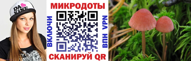 Псилоцибиновые грибы Psilocybine cubensis  Дудинка 